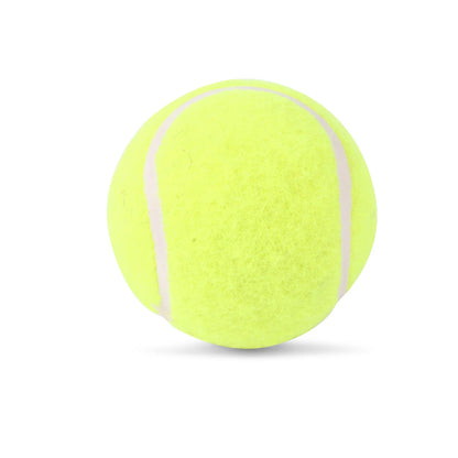 SG Endura™ Heavyweight Cricket Tennis Ball