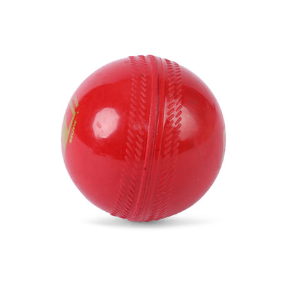 SG Everlast Synthetic Cricket Ball (Red)