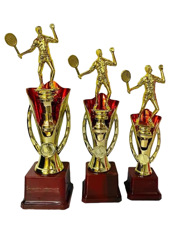 Badminton Trophy Series 12