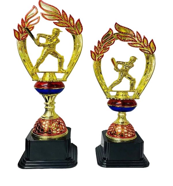 Cricket Trophy Series 3