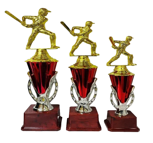 Cricket Trophy Series 4
