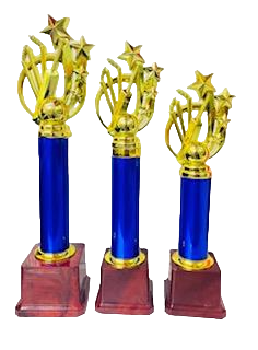 Cricket Trophy Series 6