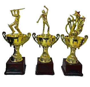 Cricket Trophy Series 9 (Pack of 3)
