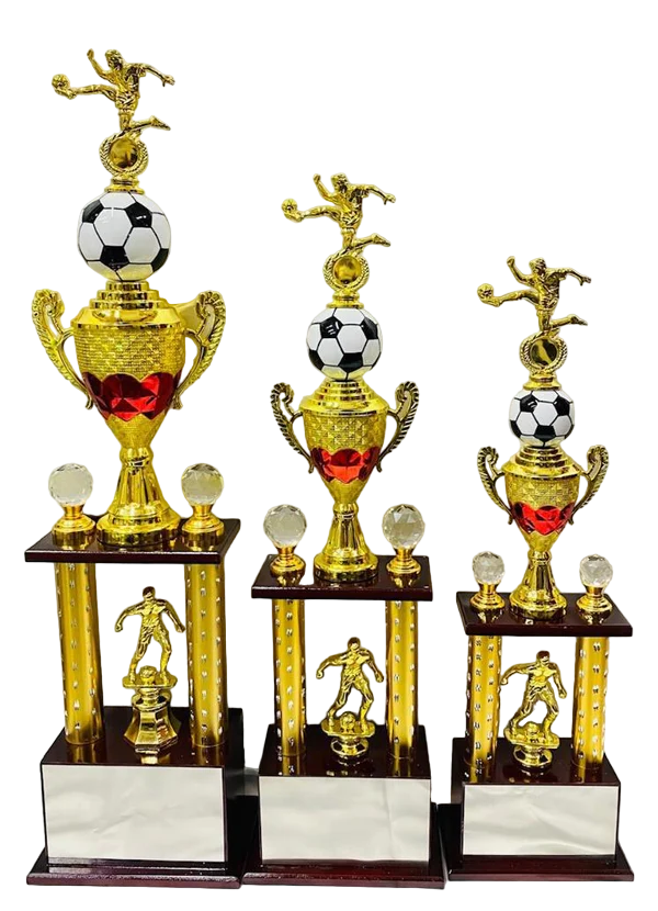 Football Trophy Series 13