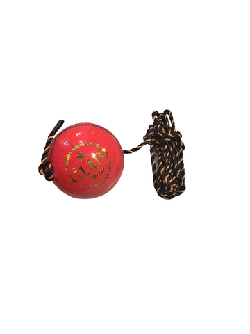 CW Hanging Cricket ball