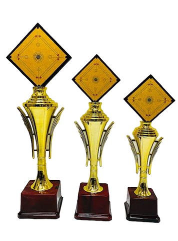 Carrom Trophy Series 1