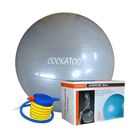 COCKATOO Gym Ball 65 Cms.