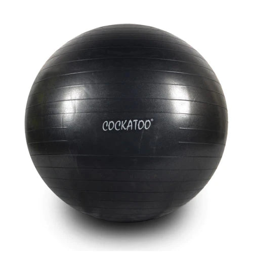 COCKATOO Gym Ball - 95 Cms.