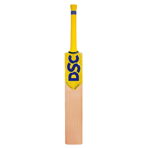 DSC BRAVADO ECHO ENGLISH WILLOW CRICKET BAT