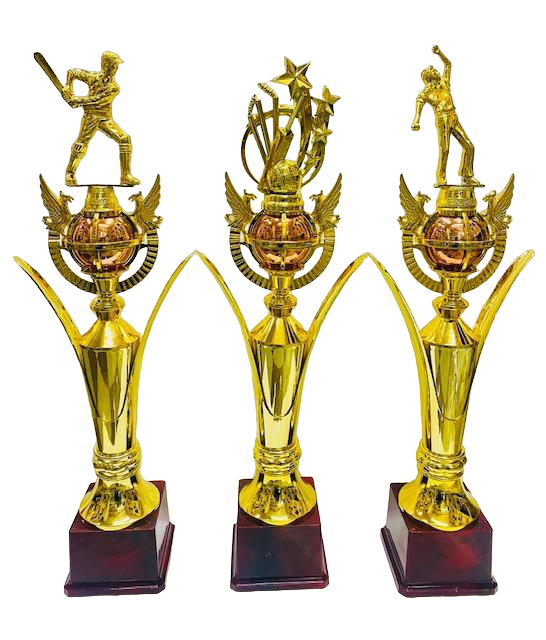 Cricket Trophy Series 1