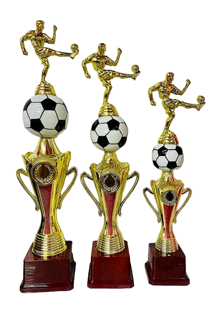 Football Trophy Series 4