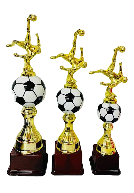 Football Trophy Series 6