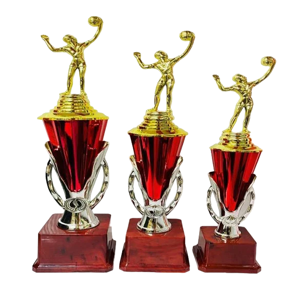 Volleyball Trophy Series 1