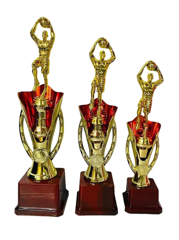 Basketball Trophy Series 1