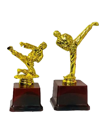 Taekwondo/Karate Trophy Series 1
