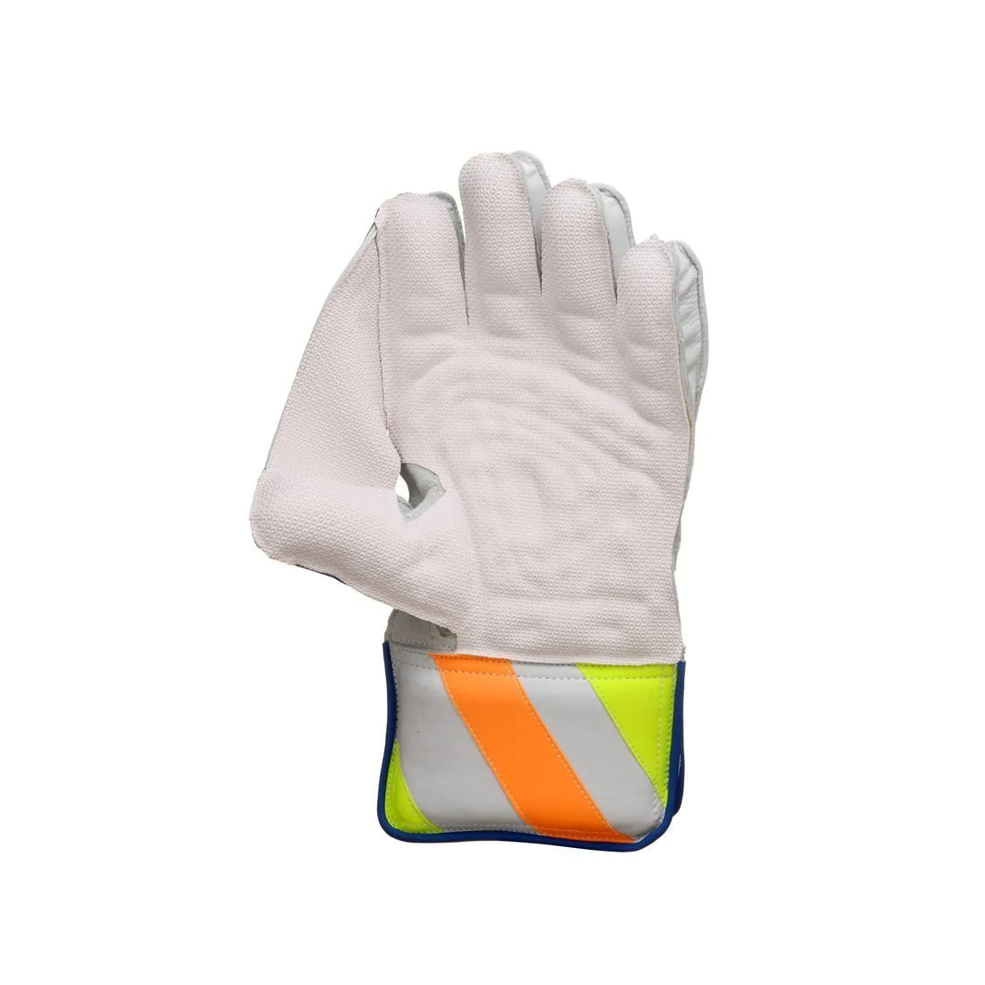 SG R 17 Wicket Keeping Gloves (Multi-Color)